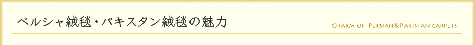 ペルシャ絨毯・パキスタン絨毯の魅力
